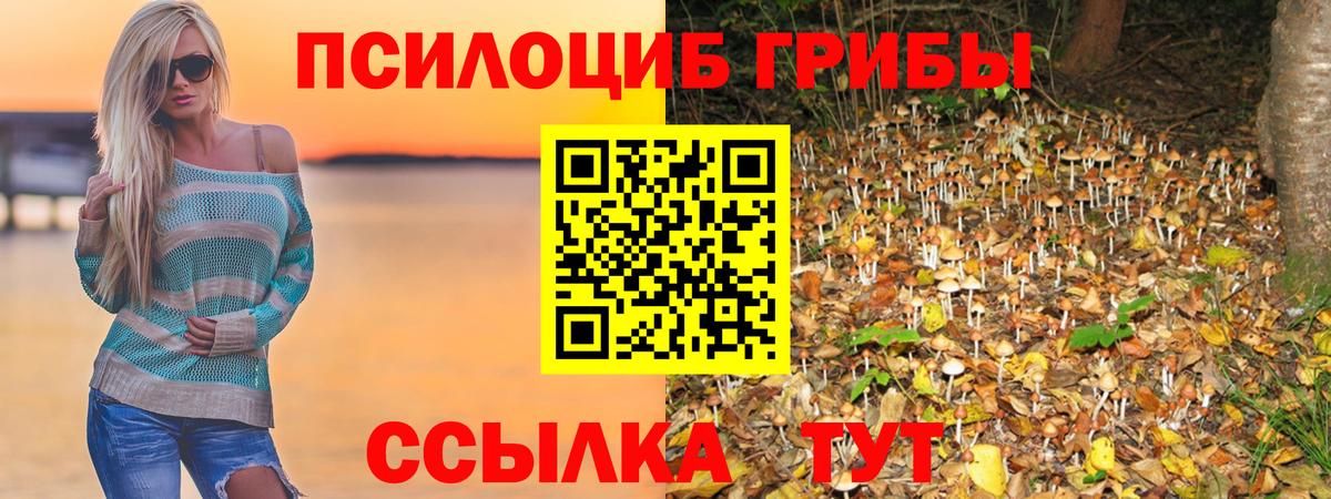 Галлюциногенные грибы прущие грибы Еманжелинск