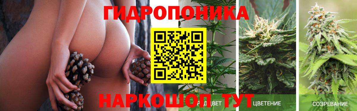 Конопля Ganja Еманжелинск